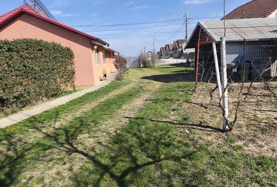 Casă cu 3 camere cu Teren 2000 Mp în Cihei - 7