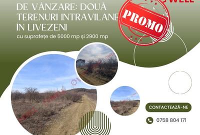 Teren Construcții intravilan de 7900 mp, în Livezeni