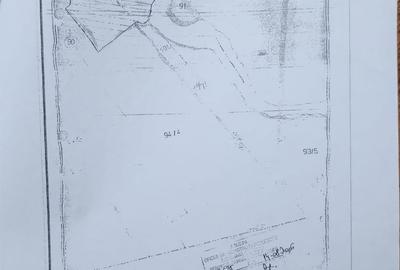 OCAZIE investitie Frumusani 3080 mp OCAZIE investitie Frumusani 3080 mp - 5