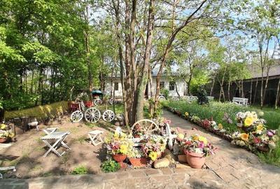 Casă cu Teren 3000 Mp în Zorleni - 3