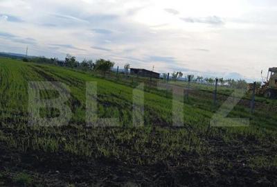 Teren intravilan cu 2 drumurie de acces. - 3