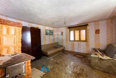 Casa cu 3 camere si teren 2196 mp de vanzare in Covasant,Arad - 8