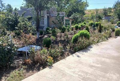 Casă cu 4 camere cu Teren 3300 Mp în Central - 3