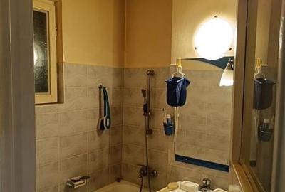 Apartament 2 camere Semidecomandat Emil Racovita - Straduintei - 3