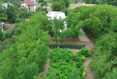 Casa de vacanta / spatiu comercial de vanzare – Frumusani - 11