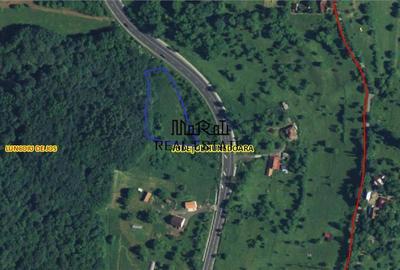 Teren de 3415 mp, în Luncoiu de Sus - 4