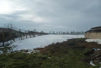 Casă cu 6 camere în Stejaru - 4