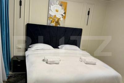 Apartament 2 camere de inchiriat, 40 mp, zona Piata de Vechi - 2