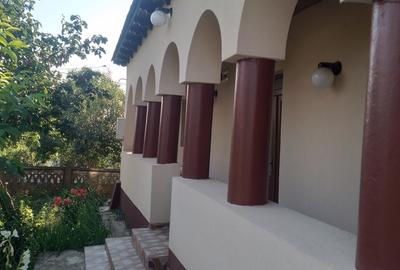 Giurgiu, Comana, Vlad Tepes - 4