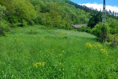 Teren de 1907 mp, în Lungești - 4