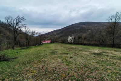 Casă individuală cu 4 camere cu Teren 12000 Mp în Rapoltu Mare - 2