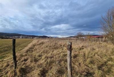 Teren intravilan de 2900 mp, în Sântana de Mureș - 3