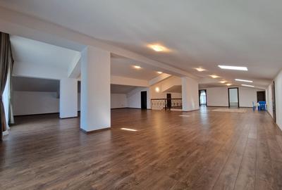 De Vanzare! Vila (D+P+1E+M) in zona Iancu Nicolae (Liceul ''Mark Twain'') - 12