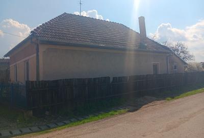Casă cu 4 camere în Lunca Mureșului - 1