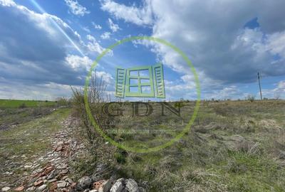 Teren Construcții intravilan de 10013 mp, în Pielești - 4