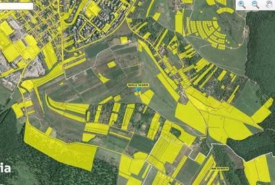 Teren de 15908 mp, în Libertății - 7