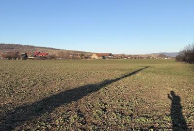 Teren de 1150 mp, în Central