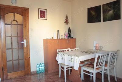 Apartament 3 camere Take Ionescu, Timi?oara - 12