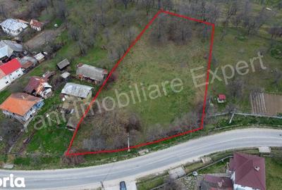 Teren de 2674 mp, în Cepari - 7