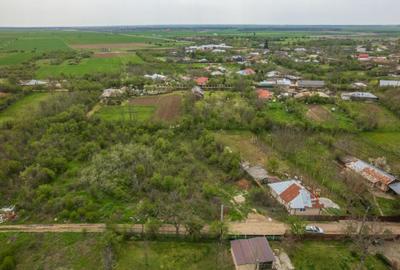 LETCA NOUA, TEREN CONSTRUCTII 1184 MP, FRONT 21 M ! - 16