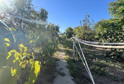 Casă individuală cu 3 camere cu Canalizare în Ronaț - 24