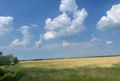 Teren Construcții intravilan de 954 mp, în Cernica - 12