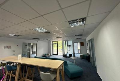 Inchirieri birouri in Izvor Business Center de la 150 mp - 34