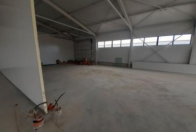 Spațiu industrial, de 200 mp, în Theodor Pallady - 2