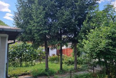 Casă cu 5 camere în Aluniș - 5