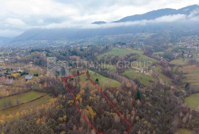 Teren intravilan, cu PUZ, Bran Tohanita,  SE ACCEPTĂ ȘI SCHIMB - 14