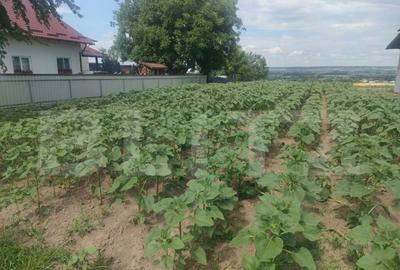 Teren intravilan, 4400 mp, front 13,8 ml, zona Gramesti - 1