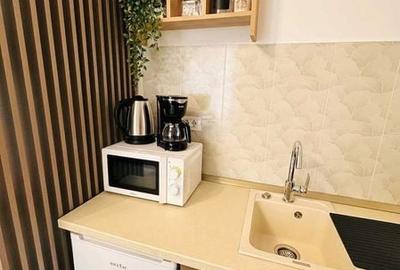 Garsonieră în Nord - 8