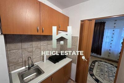 Apartament cu 1 camera in zona Buziasului - 4