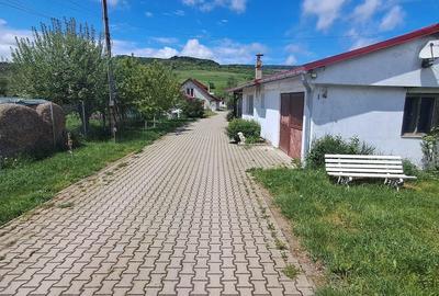 Casă cu Teren 2200 Mp în Central - 3