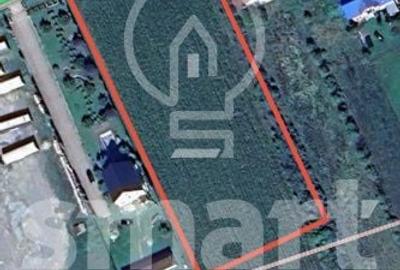 Teren de 8000 mp, în Ciceu-Mihăiești - 1