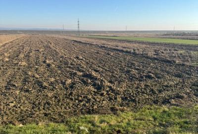 Teren 5000 mp, Valea Mare, Babeni DN64 - 6