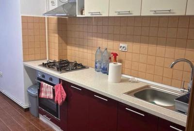 Apartament cu 2 camere semidecomandat, mobilat în Teilor - 5