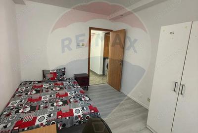 Apartament 3 camere de inchiriat Lapus-Arges - 2