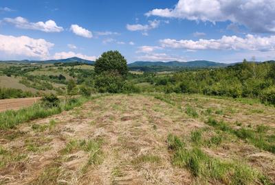 1,3 HA TEREN EXTRAVILAN, Muntii Apuseni, Negreni, jud. Cluj, la 5 km de E60 - 4
