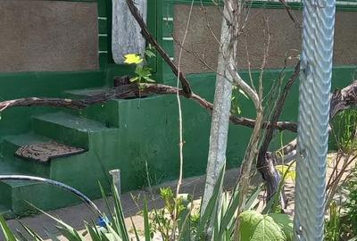 Casă cu 3 camere în Mircea Vodă - 9