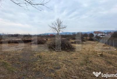 Casă cu 4 camere cu Teren 4000 Mp în Central - 1