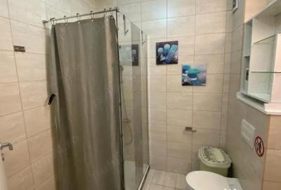 Garsonieră în Berceni - 5