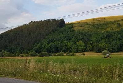 Exclusivitate! Teren intravilan in Luna de sus! - 6