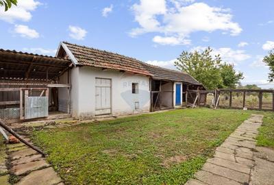 Casa si teren 2173 mp de vanzare in Tipar , la 12km de Chisineu Cris - 23