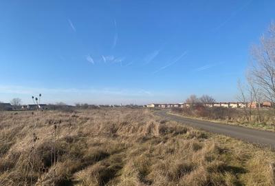 Teren Construcții intravilan de 600 mp, în Săcălaz - 4