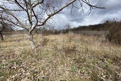 Teren intravilan in suprafata de 2000 mp, zona Episcopiei - 4