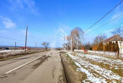 Teren intravilan Comision ZERO%, Sebis Arad - 3