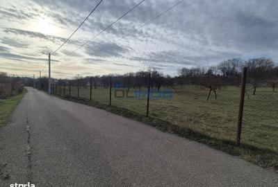 Spațiu comercial, în Drajna - 11