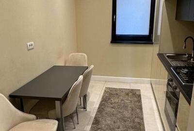 Apartament cu doua camere in zona Palazu Mare mobiliat /utilat nou - 6