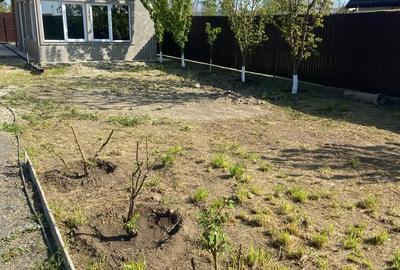 Casă cu Teren 350 Mp în Cazasu - 3
